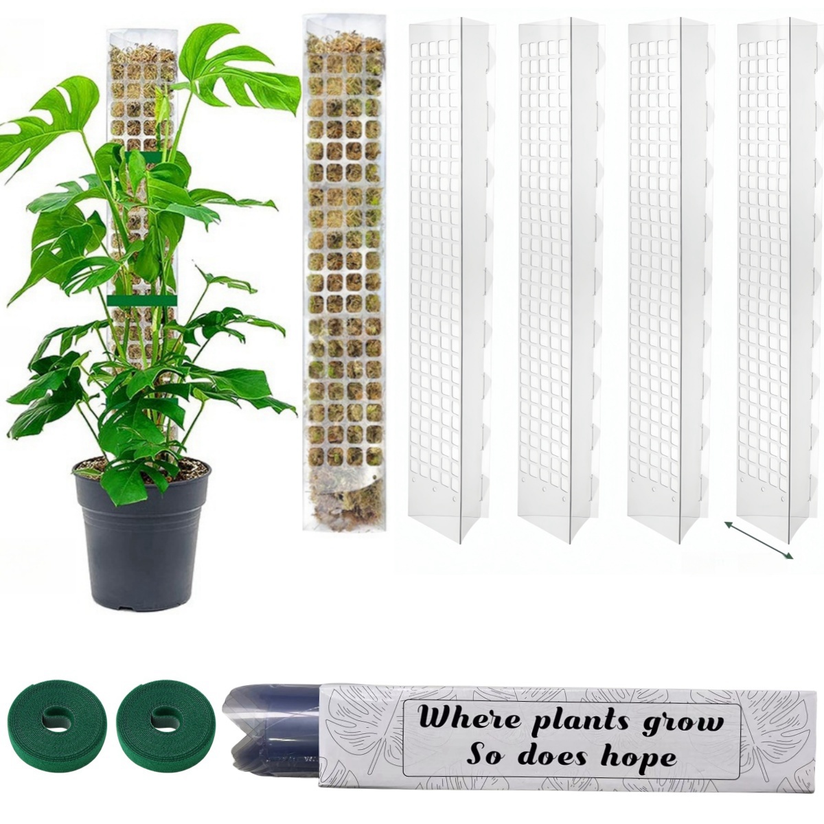 Tree Stand Ladder - 24/36/48Inch Climbing Plant Water Moss Column