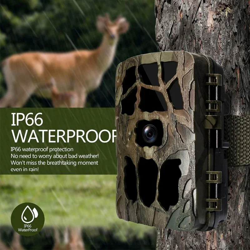 Outdoor Hunting Videos - H982 IP66 Chống Thấm Nước 4K