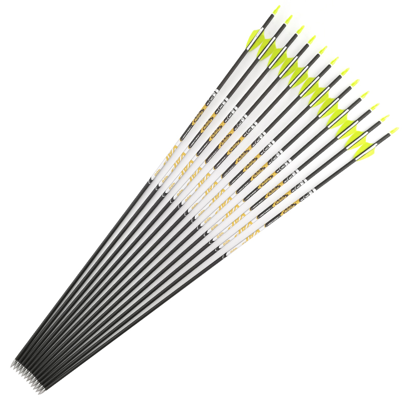 V1 Bắn Cung Cột Sống 350 400 4 - đánh giá và giá Arrow Carbon Shaft