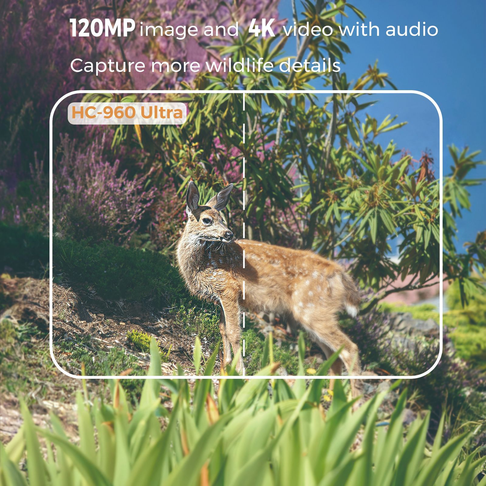Outdoor 4K Video 120MP Photo 4 - đánh giá và giá Outdoor Hunting Videos