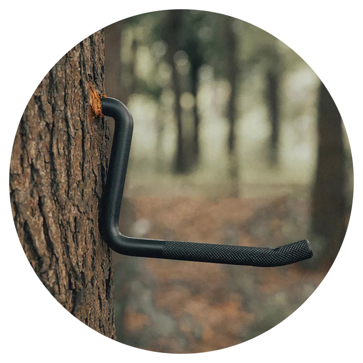 CS09 4 Inch Screw-in Tree Step - đánh giá và giá Tree Stand Ladder