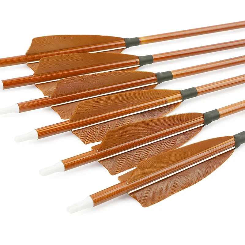 6/12pcs Mixed Carbon Arrows SP - đánh giá và giá Arrow Carbon Shaft