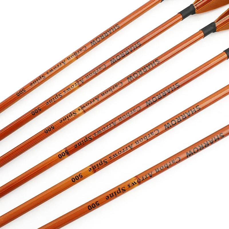 6/12pcs Mixed Carbon Arrows SP - đánh giá và giá Arrow Carbon Shaft