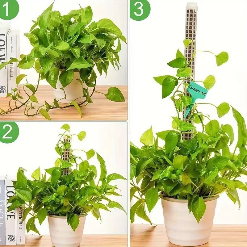 1/2/3pcs Self-watering Moss Po - đánh giá và giá Tree Stand Ladder