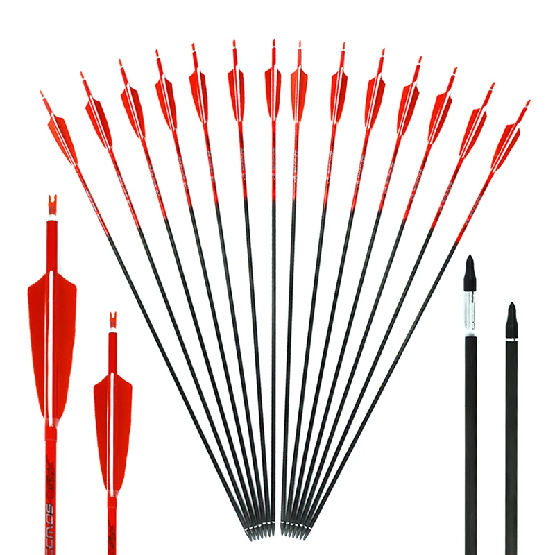 6pc/12pc/24pcs ID6.2mm Pure Ca - đánh giá và giá Arrow Carbon Shaft