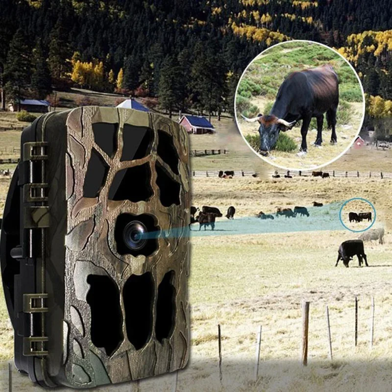 H982 IP66 Chống Thấm Nước 4K H - đánh giá và giá Outdoor Hunting Videos
